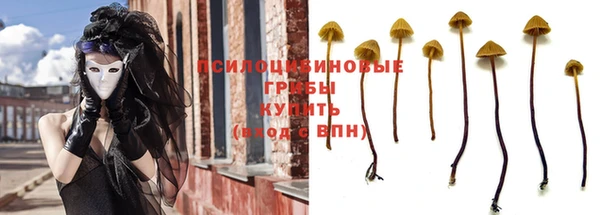 винт Арсеньев