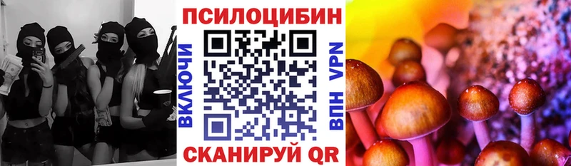купить наркотик Новопавловск Псилоцибиновые грибы Magic Shrooms